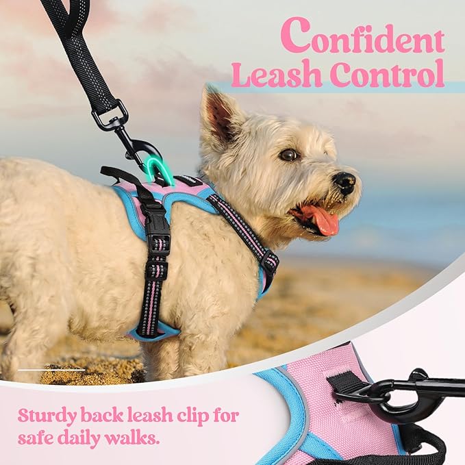 rabbitgoo Dog Harness No Pull with 2 Leash Clips, Adjustable Soft Padded, Reflective Oxford No Choke Pet Vest with Easy Control Handle for Puppy, Pink &amp; Blue, XS