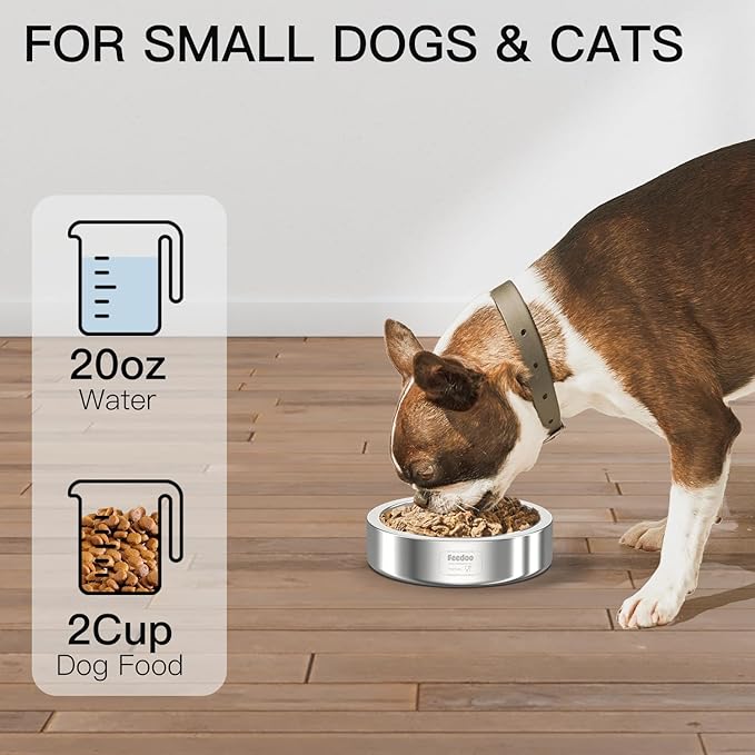 20oz Stainless Steel Cat Food &amp; Water Bowl - Double Walled 304 Stainless Steel Non-Slip Cat Dish | BPA-Free &amp; Dishwasher Safe for Indoor Cats