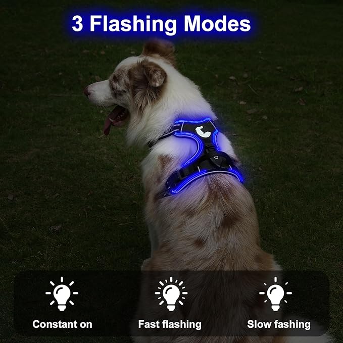 Taglory Light Up Dog Harness, Rechargeable No Pull Dog Vest with 3 Lightning Modes, Reflective Dog Harness with 2 Leash Clips &amp; 4 Adjustable Slide Strips for Large Dogs, Black-Blue, L