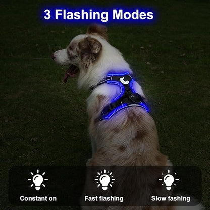 Taglory Light Up Dog Harness, Rechargeable No Pull Dog Vest with 3 Lightning Modes, Reflective Dog Harness with 2 Leash Clips &amp; 4 Adjustable Slide Strips for Large Dogs, Black-Blue, L