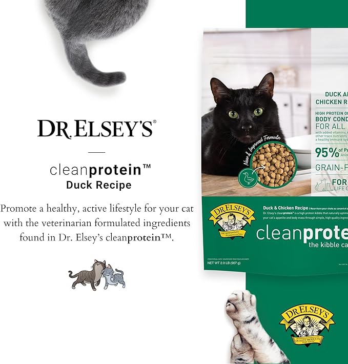 Dr. Elsey&