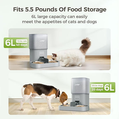 WiFi Automatic Cat Feeder with App - 6L Elevated Smart Food Dispenser for 2 Pets, Programmable 1-10 Meals, 2 Stainless Bowls &amp; Dual Power