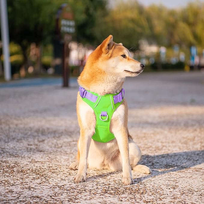 PHOEPET No Pull Dog Harness, Unique Colors Reflective Adjustable Dog Vest, with Soft Training Handle Metal Clips for Small Medium Large Dogs (Green Base &amp; Purple Straps,S)