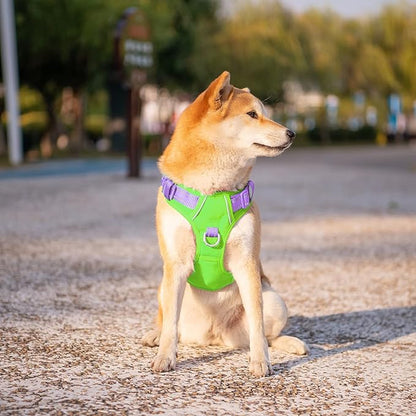 PHOEPET No Pull Dog Harness, Unique Colors Reflective Adjustable Dog Vest, with Soft Training Handle Metal Clips for Small Medium Large Dogs (Green Base &amp; Purple Straps,M)