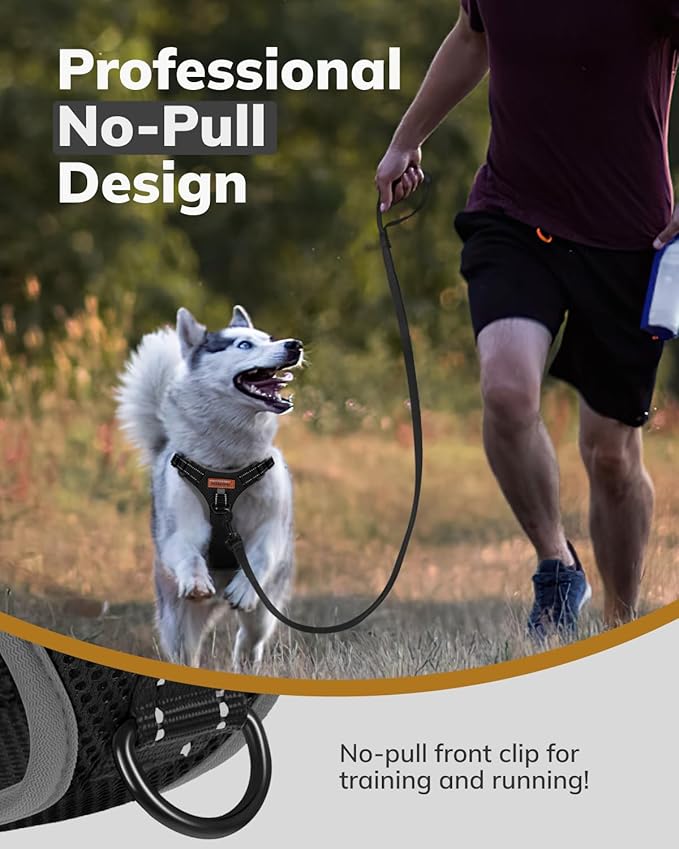 MIDOG No-Pull Dog Harness | Adjustable &amp; Reflective Pet Harness Leash Set for Small Medium Large Dogs Walking, Training| No Choke, Front Clip, Soft Padded Vest with Easy Control Handle - Black, S