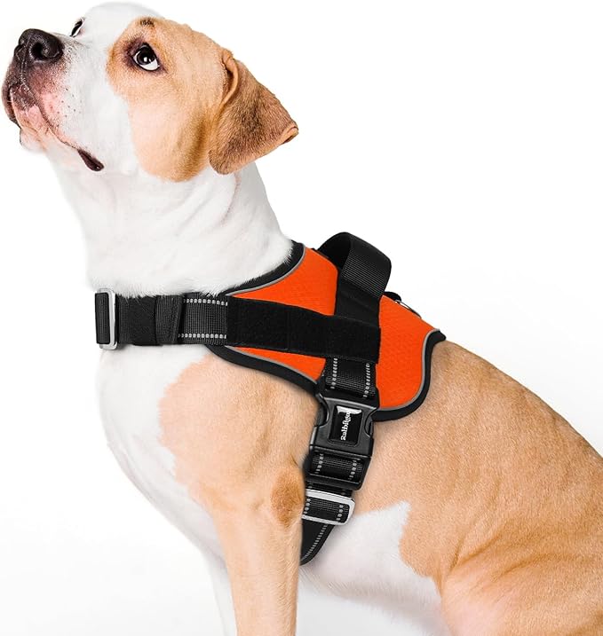 rabbitgoo Dog Harness for Large, Easy On Pet Vest with One Buckle, No Pull Adjustable Service Harness with D-Ring &amp; Handle, Reflective for Safety Walking, Training, Orange, L