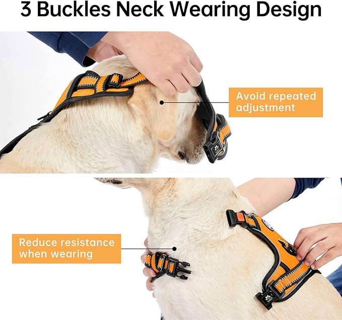 IVY&amp;LANE No Pull Dog Harness for Large Dogs, Dog Vest Harness with Leash, Safety Belt and Storage Strap, Fully Adjustable Harness, 360° Reflective Strip, Soft Handle (Orange,X-Large)