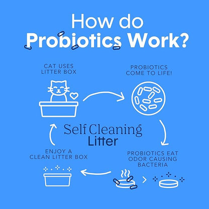 Boxie® Probiotic 40 Day Natural Odor Control Cat Litter, 28lb Clumping Clay Kitty Litter
