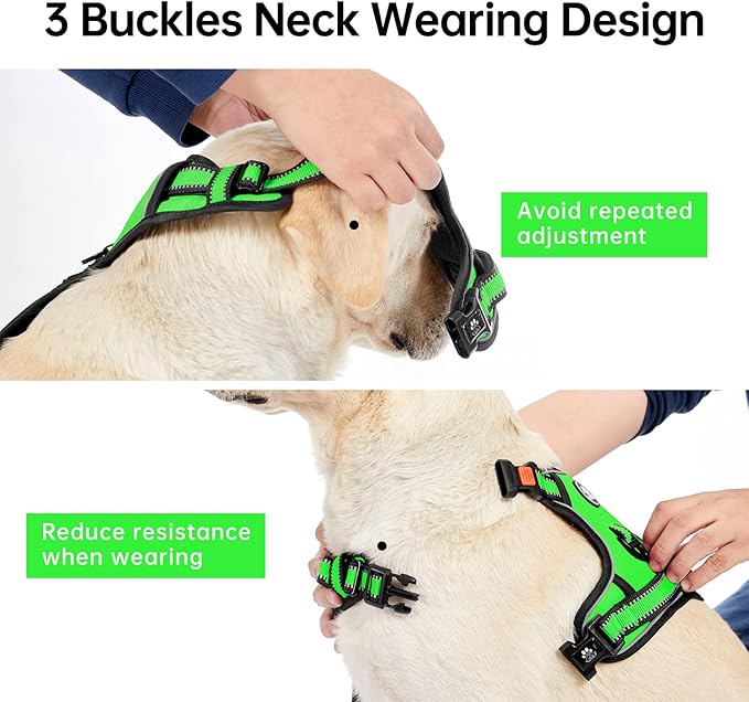 IVY&amp;LANE No Pull Dog Harness for Small Dogs, Dog Vest Harness with Leash, Safety Belt and Storage Strap, Fully Adjustable Harness, 360° Reflective Strip, Soft Handle (Green,S)