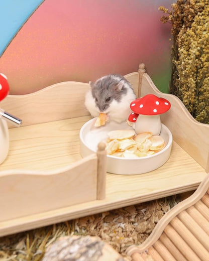 Niteangel Hamster Snack &amp; Treats Toy - Small Animal Natural Treat for Dwarf Syrian Robo Hamsters Gerbils Mice Lemmings Degus or Other Small-Sized Pets