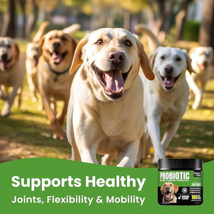 Probiotics for Dogs - Dog Probiotics with 5 Enzymes &amp; 4 Prebiotics for Itchy Skin, Pet Probiotics lab for Digestion &amp; Gut Support, Helps Diarrhea, Yeast Infection, Allergies &amp; Immune System -180 Chews