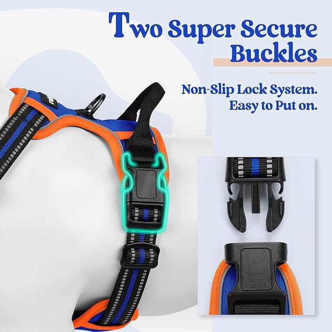 rabbitgoo Dog Harness No Pull with 2 Leash Clips, Adjustable Soft Padded, Reflective Oxford No Choke Pet Vest with Easy Control Handle for Small Dogs, Blue &amp; Orange, S