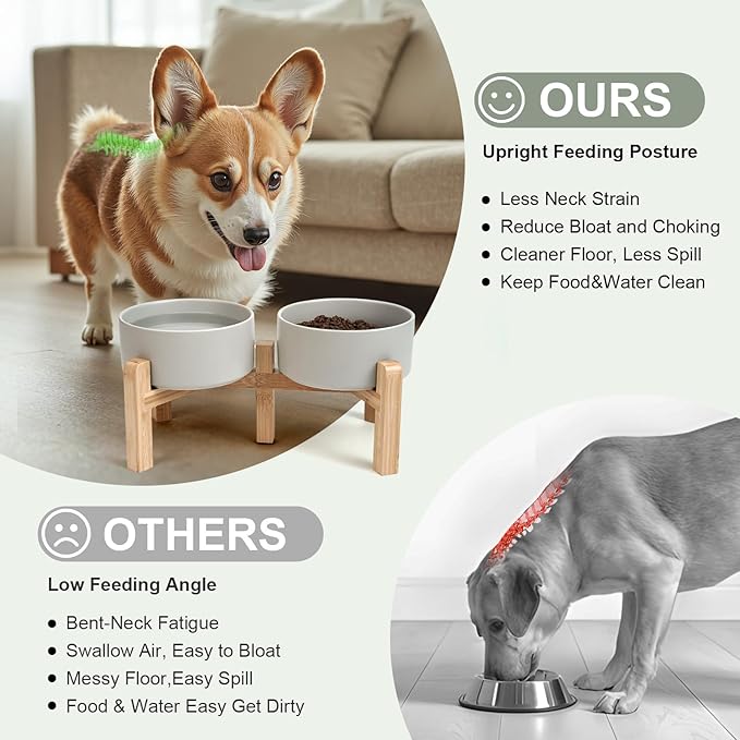 SPUNKYJUNKY Elevated Dog Bowls Ceramic, 6.1&
