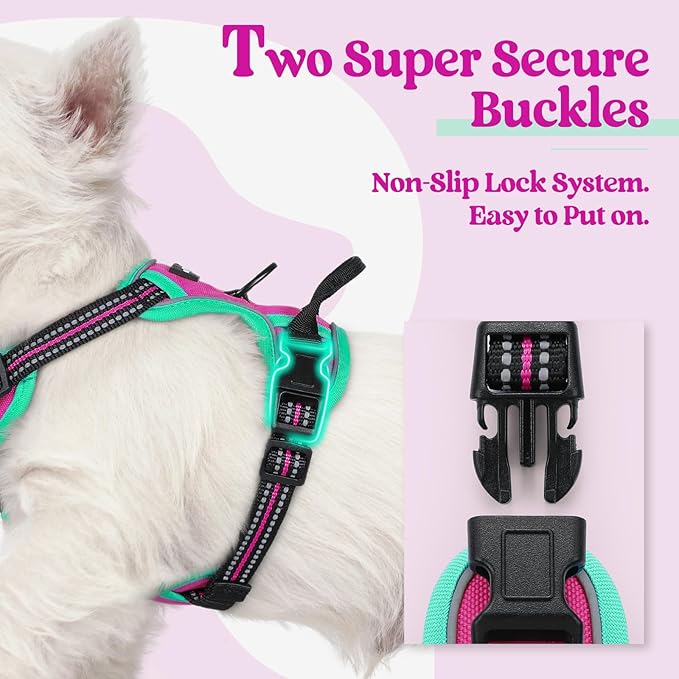 rabbitgoo Dog Harness No Pull with 2 Leash Clips, Adjustable Soft Padded, Reflective Oxford No Choke Pet Vest with Easy Control Handle for Large Dogs, Hot Pink &amp; Turquoise, XS