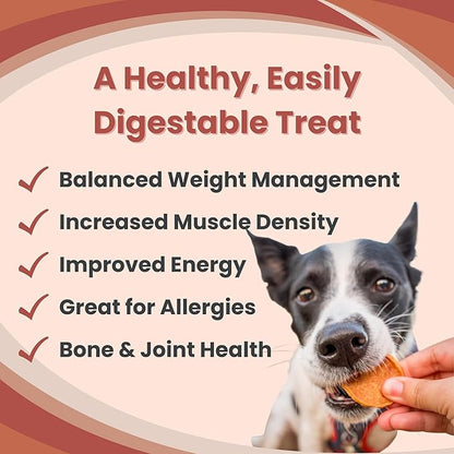Farm To Pet Dog Training Treats, Healthy Turkey Chips for Dogs - 4 oz, 100% Human Grade Turkey Breast, All Natural, Single Ingredient, Low Allergen Treats for Dogs and Puppies, Made in USA