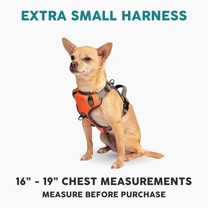 Embark Adventure Dog Harness, No-Pull Reflective Trim Dog Harness for Small, Medium &amp; Large Dogs - Military Grade Nylon, 2 Leash Clips &amp; Gel Lined Handle. Soft &amp; Padded Puppy Dog Vest for Any Breed