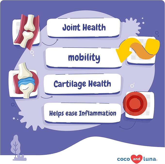 Hip and Joint Supplement for Dogs - with Glucosamine, Green Lipped Mussel, Turmeric, Chondroitin, Fish Oil, MSM and Yucca Schidigera for Dog Joint Relief &amp; Mobility.