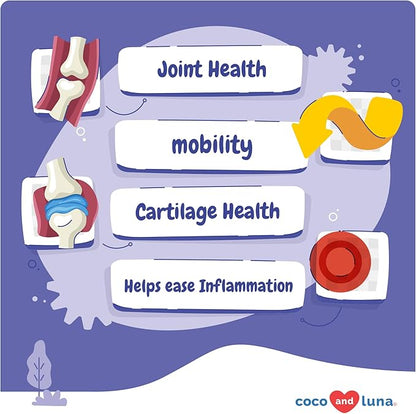 Hip and Joint Supplement for Dogs - with Glucosamine, Green Lipped Mussel, Turmeric, Chondroitin, Fish Oil, MSM and Yucca Schidigera for Dog Joint Relief &amp; Mobility.