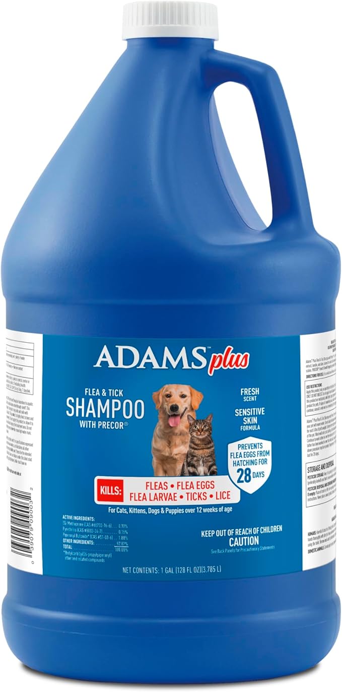 ADAMS Plus Flea &amp; Tick Shampoo with Precor IGR for Cats, Kittens, Dogs &amp; Puppies Over 12 Weeks Of Age, Sensitive Skin Flea Treatment, Kills Adult Fleas, Flea Eggs, Ticks, and Lice, 1 Gallon
