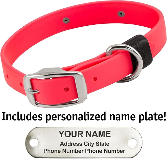 Biothane Custom Dog Collar – Waterproof, Stink-Proof Personalized Collar with Name &amp; Phone Number – Durable, Many Sizes and Colors – Assembled in USA – Assembled in USA (Hot Pink)