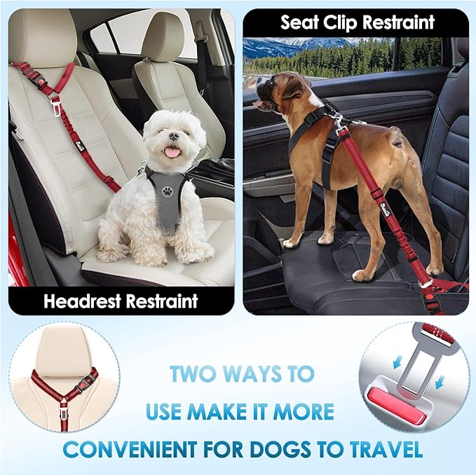 Lukovee Dog Seatbelt Leash for Cars, 2 Pack Pet Safety Seat Belt with Adjustable Buckle &amp; Reflective Bungee, Connect Dog Harness in Vehicle Dogs Restraint Travel Daily Use (Red)