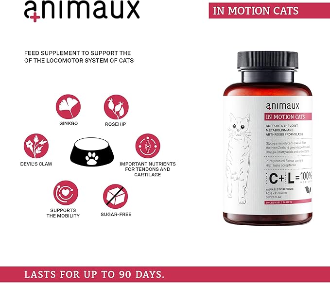 animaux - in Motion Cats, Green-lipped Mussel, Devil&