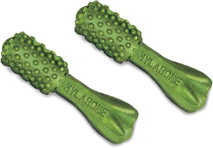 Nylabone Nutri Dent Dog Dental Chews - Natural Dog Teeth Cleaning &amp; Breath Freshener - Dental Treats for Dogs - Fresh Breath Flavor, Mini (32 Count)
