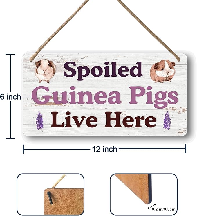 Big Hamster Ball &amp; Guinea Pig Hideout - Stuffed Animals &amp; Accessories for Guinea Pig Cage - 12x6 In Wooden Sign