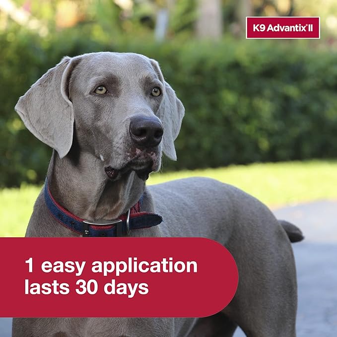 K9 Advantix II XL Dog Vet-Recommended Flea, Tick &amp; Mosquito Treatment &amp; Prevention | Dogs Over 55 lbs. | 6-Mo Supply (Pack of 2)