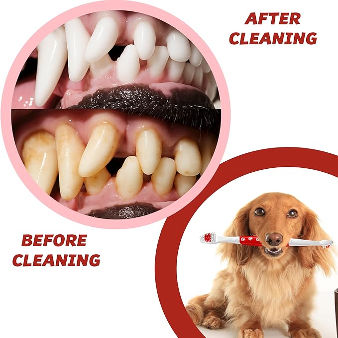 Pet Toothbrush for Dogs, Cats with Soft Bristles - Easy Teeth Cleaning &amp; Dental Care, Non Slip Dual Head Dog Toothbrush for Medium &amp; Large Pets, Toothpaste Not Included, Pack of 4(Multi)