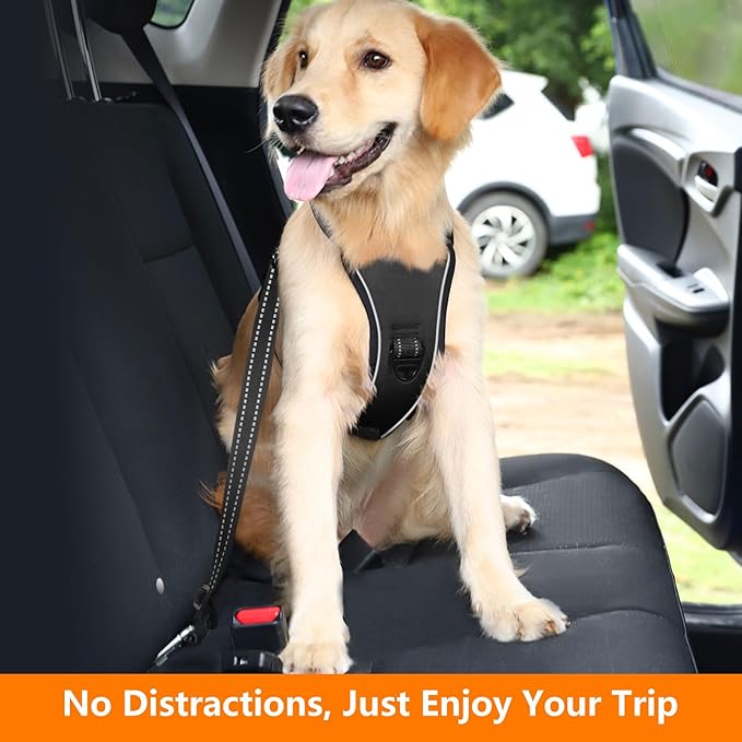 Dog Seat Belt Harness for Car, Dog Car Harness Adjustable Mesh Breathable &amp; Dogs Seatbelt Safety Tether with Elastic Bungee for Small Medium Large Pets(Carbon Black, S)