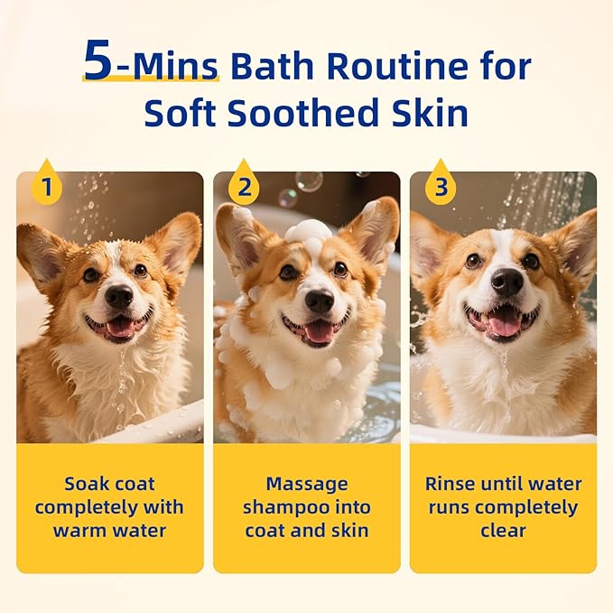 Unipaws Probiotic Dog Shampoo for Short-Haired Coats – Itch Relief, Deodorizing &amp; Hydrating for Healthy, Fresh Skin with Calendula &amp; Oatmeal – EWG Green &amp; White Tea Scent, Made in Korea, 16.9 Fl Oz