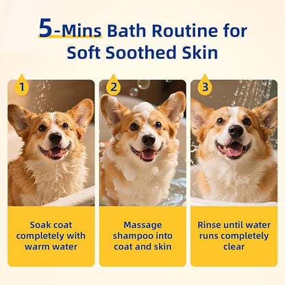 Unipaws Probiotic Dog Shampoo for Short-Haired Coats – Itch Relief, Deodorizing &amp; Hydrating for Healthy, Fresh Skin with Calendula &amp; Oatmeal – EWG Green &amp; White Tea Scent, Made in Korea, 16.9 Fl Oz