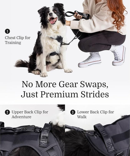 2025 New Edition, Fei &amp; Eve MagEase Dog Harness - 3-Second Magnetic Buckles | 3-Point No-Pull Control | Heavy-Duty 900D Nylon | Dual Safety Handles | Breathable Mesh | Adjustable Fit | Large,Black