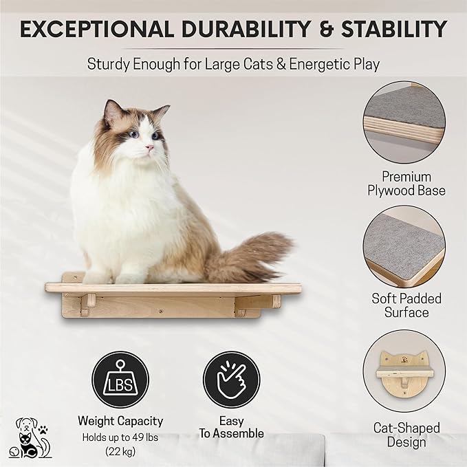 Snuggle &amp; Play Cat Wall Shelves with Suction Cup Wand – 3 Mounted Steps, Climbing Wall Shelves and Furniture with Cat Wand
