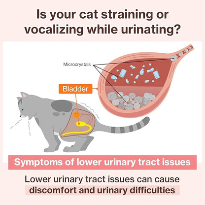 Dr.by UT Care Cat UTI Kidney Support Urinary Supplement Cranberry Treatment for Cats Renal Health with Pacran, Quercetin, Taurine lickable Formula Individually Packaged (1 Pack)