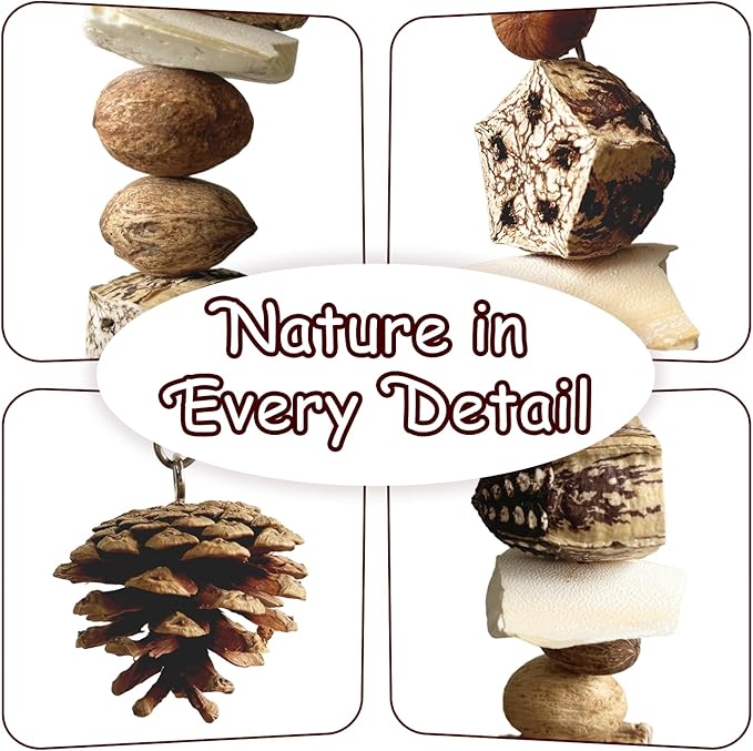 Nut Perch Stand with Interchangeable Materials – Natural, Safe Bird Playset for Beak Exercise &amp; Mental Stimulation