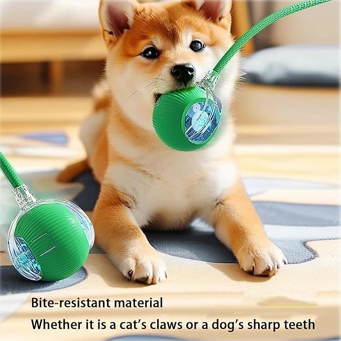 Interactive Cat Toy Ball for Indoor Cats - 3-Speed Smart Rolling Ball with Flashing Lights, USB Rechargeable Automatic Motion Kitten Toys for Bored Adult Cats &amp; Playful Kittens