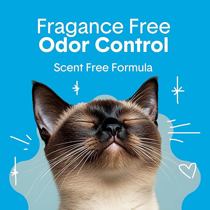 Boxie® Unscented 30 Day Odour Control Clumping Clay Cat &amp; Kitty Litter 16 lb, 99.9% Dust-Free, Hard Flat Top® Clumps, No Fragrances No Fillers, Long-Lasting, Easy to Scoop