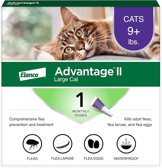 Advantage II Large Cat Vet-Recommended Flea Treatment &amp; Prevention | Cats Over 9 lbs. | 1-Month Supply