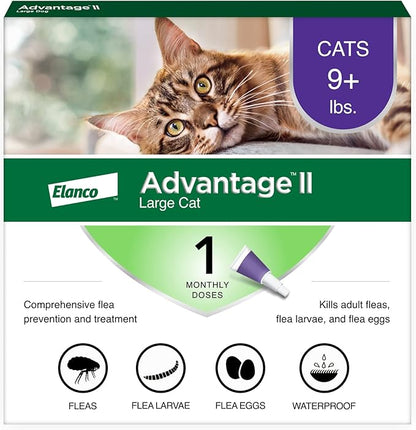 Advantage II Large Cat Vet-Recommended Flea Treatment &amp; Prevention | Cats Over 9 lbs. | 1-Month Supply