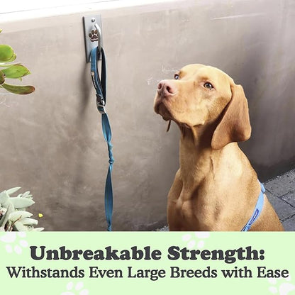 Canine Hitch- Secure Dog Leash Parking Mounted Indoor – Outdoor Wall Hook - Tie Out Stainless Steel Practical Lead Management for Home &amp; Business, Standard Size