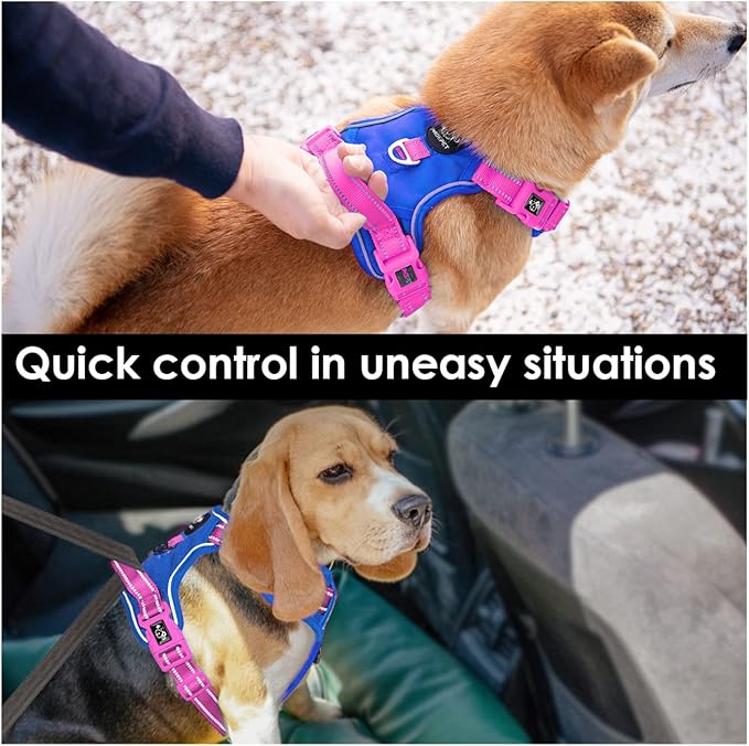 PHOEPET No Pull Dog Harness, Unique Colors Reflective Adjustable Dog Vest, with Soft Training Handle Metal Clips for Small Medium Large Dogs (Royal Blue Base &amp; Pink Straps,M)