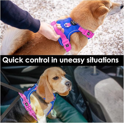 PHOEPET No Pull Dog Harness, Unique Colors Reflective Adjustable Dog Vest, with Soft Training Handle Metal Clips for Small Medium Large Dogs (Royal Blue Base &amp; Pink Straps,S)