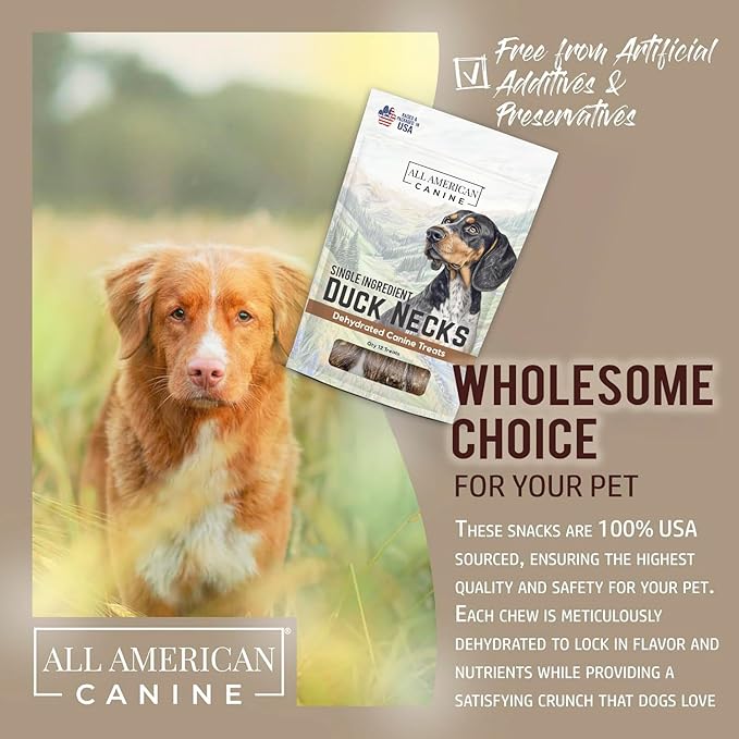 12 Natural Duck Neck Dog Treats – Single Ingredient, Dehydrated &amp; Chewy – Low-Fat, High-Protein Training Reward – Made in USA