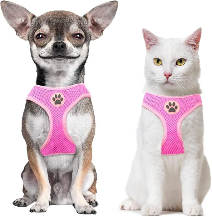 BINGPET Small Dog Harness - Breathable Mesh Puppy Cat Harnesses - No Pull Adjustable Dog Harness Dog Vest Harness for Small and Medium Dogs