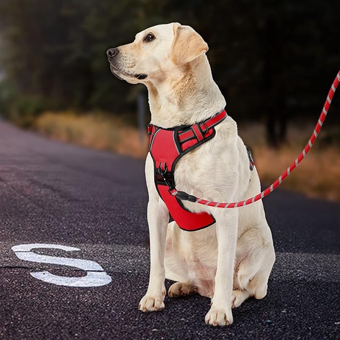 IVY&amp;LANE No Pull Dog Harness for Large Dogs, Dog Vest Harness with Leash, Safety Belt and Storage Strap, Fully Adjustable Harness, 360° Reflective Strip, Soft Handle (Red, XL)