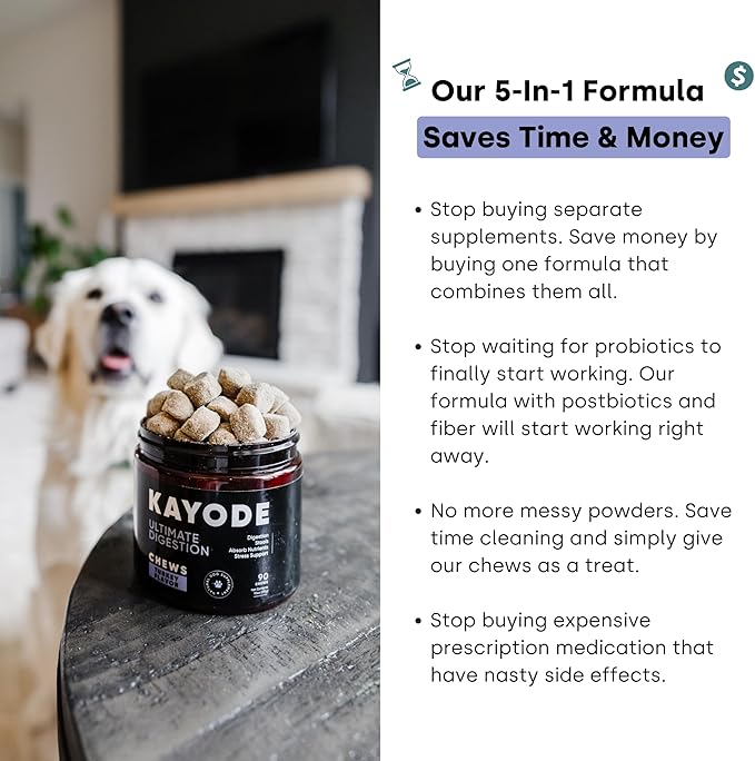 Kayode Ultimate Digestion. Fast Facting Anti Diarrhea for Dogs. Dog Fart Remedy &amp; Dog Gas Relief. Natural Nutrients for Healthier, Firmer Stools. Pumpkin &amp; Digestive Enzymes for Dogs.