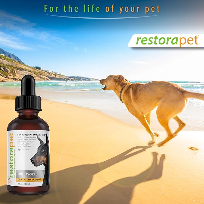 RestoraPet 1-Pack Dog &amp; Cat Beef Liquid Multivitamin | Dog Arthritis Pain Relief | Hip &amp; Joint Vitamins for Dogs - Anti Inflammatory Supplement for Dogs &amp; Cats | Organic &amp; Non-GMO, Vet Approved