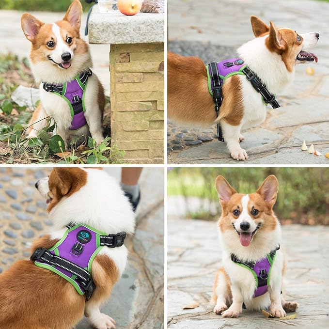 PHOEPET 2019 Reflective Dog Harness Large Breed Adjustable No Pull Vest with with Handle 2 Metal Rings 3 Buckles [Easy to Put on &amp; Take Off](XL, Purple)